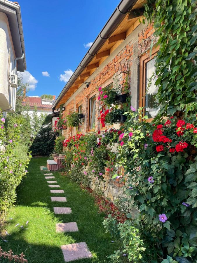 Flower House In The City Center! Pristina Esterno foto
