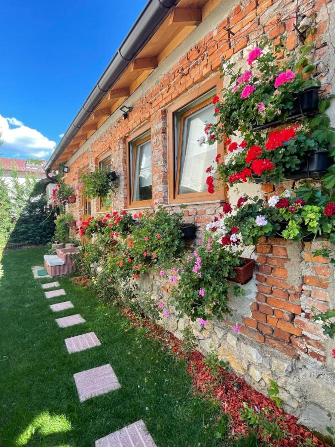Flower House In The City Center! Pristina Esterno foto